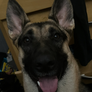 Fundraising Page: Mason Belen